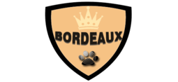 bordeaux-lottery.com